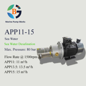 APP11-15 High Pressure Desalination Pumps