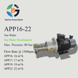 APP16-22 High Pressure Desalination Pumps