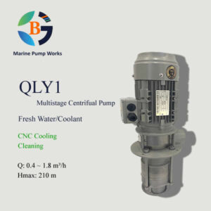 QLY1 Immersible Water Pump