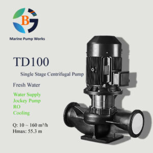 TD100 Inline Single Stage Pump