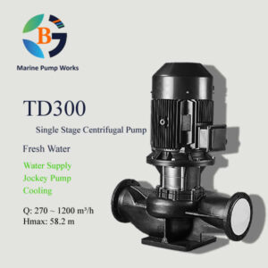 TD300 Inline Single Stage Pump